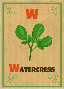 Watercress