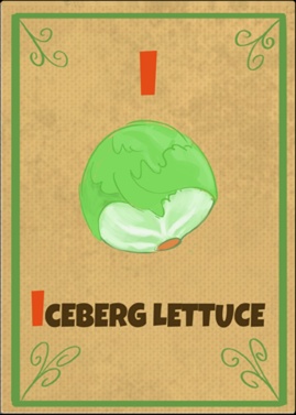 Iceberg Lettuce